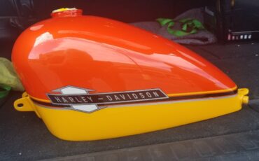 Harley-Davidson-Custom-1967-17