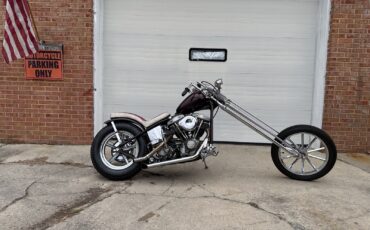 Harley-Davidson-Electra-Glide-1978-1