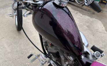 Harley-Davidson-Electra-Glide-1978-11