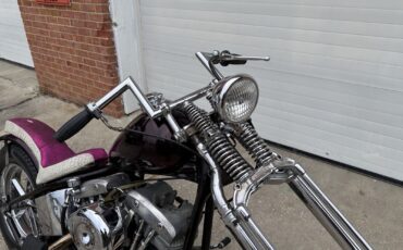 Harley-Davidson-Electra-Glide-1978-4