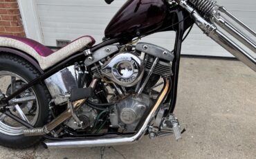 Harley-Davidson-Electra-Glide-1978-5