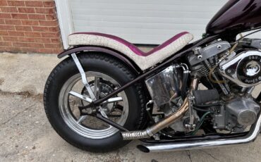 Harley-Davidson-Electra-Glide-1978-6