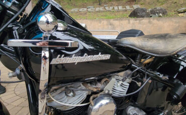 Harley-Davidson-FL-S-PANHEAD-1954-6