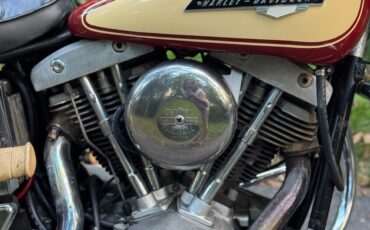 Harley-Davidson-FLH-1974-3