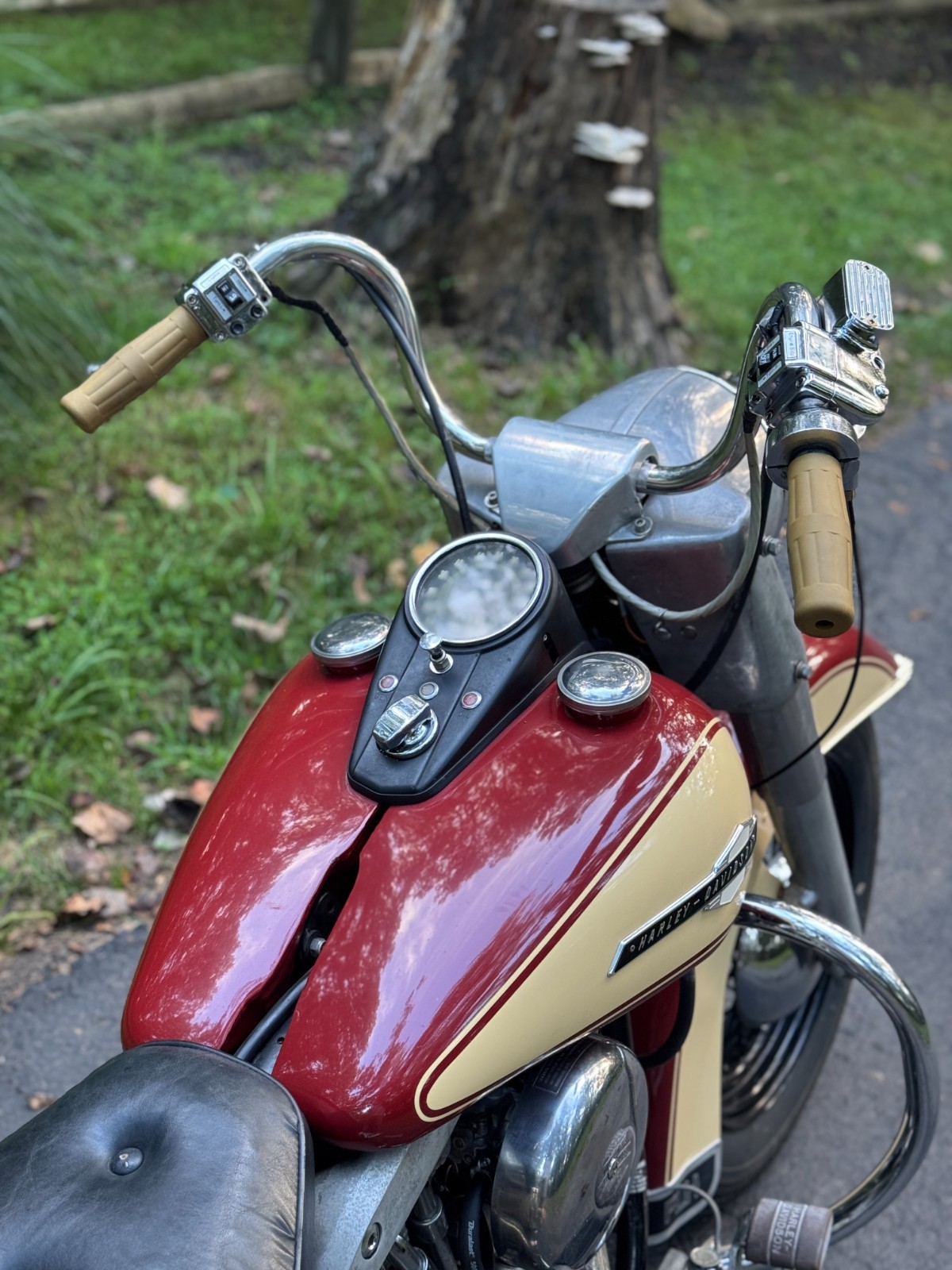Harley-Davidson-FLH-1974-6