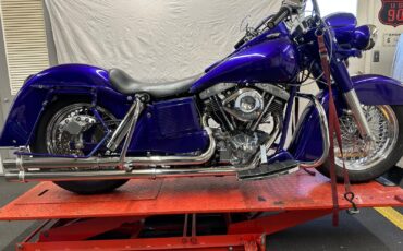 Harley-Davidson-FLH-1977-7