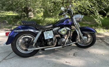 Harley-Davidson-FLH-Electra-Glide-1973-3