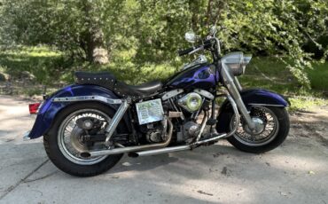 Harley-Davidson-FLH-Electra-Glide-1973-4