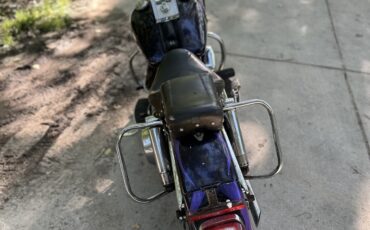 Harley-Davidson-FLH-Electra-Glide-1973-8