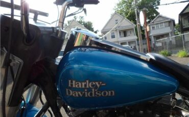 Harley-Davidson-FLHS-1990-19