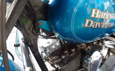 Harley-Davidson-FLHS-1990-29