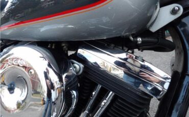 Harley-Davidson-FLHTC-90-YEAR-ANNIVERSARY-1993-39