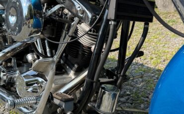 Harley-Davidson-FXE-1200-1975-11