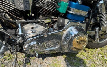 Harley-Davidson-FXE-1200-1975-32