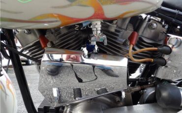 Harley-Davidson-FXE-SHOVEL-HEAD-1978-12