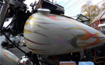 Harley-Davidson-FXE-SHOVEL-HEAD-1978-15