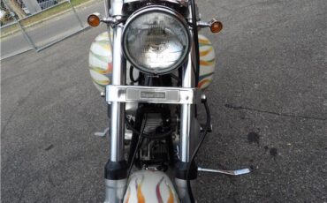 Harley-Davidson-FXE-SHOVEL-HEAD-1978-16