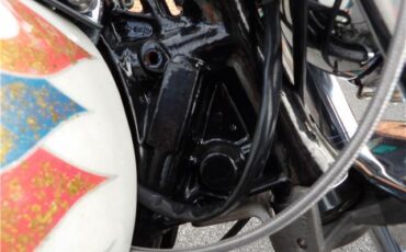 Harley-Davidson-FXE-SHOVEL-HEAD-1978-22
