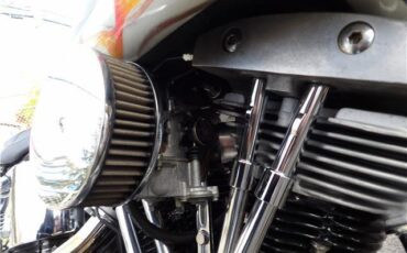 Harley-Davidson-FXE-SHOVEL-HEAD-1978-35