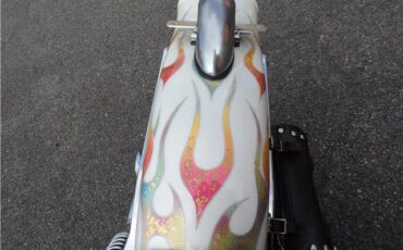 Harley-Davidson-FXE-SHOVEL-HEAD-1978-36