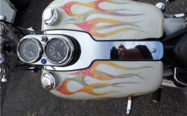 Harley-Davidson-FXE-SHOVEL-HEAD-1978-38