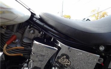 Harley-Davidson-FXE-SHOVEL-HEAD-1978-9