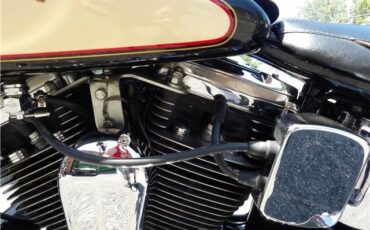 Harley-Davidson-FXSTC-1989-22