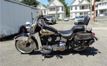 Harley-Davidson-FXSTC-1989-6