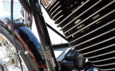 Harley-Davidson-FXSTS-1990-25