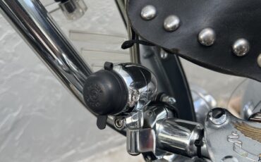 Harley-Davidson-Heritage-Softail-Classic-1995-15