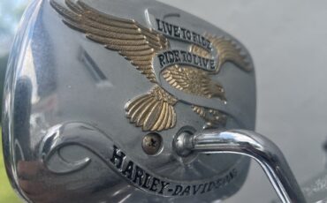 Harley-Davidson-Heritage-Softail-Classic-1995-16