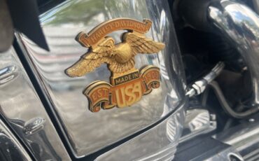 Harley-Davidson-Heritage-Softail-Classic-1995-18