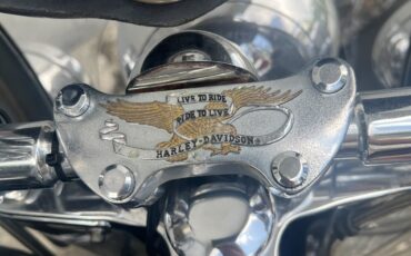 Harley-Davidson-Heritage-Softail-Classic-1995-19