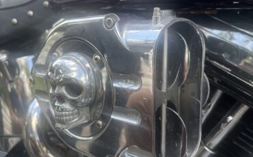 Harley-Davidson-Heritage-Softail-Classic-1995-2