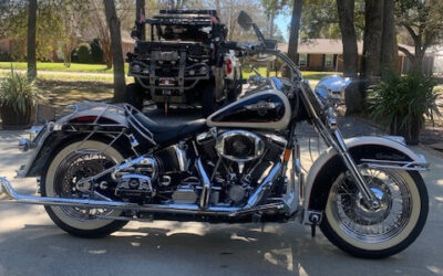 Harley-Davidson Mooglide/Moocow 1993