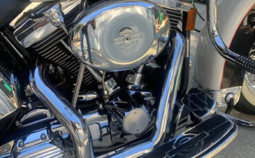 Harley-Davidson-MooglideMoocow-1993-8