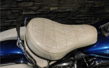 Harley-Davidson-Original-FLH-Shovelhead-2567-1976-15