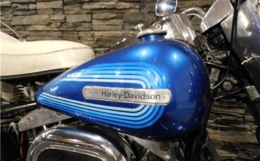 Harley-Davidson-Original-FLH-Shovelhead-2567-1976-5