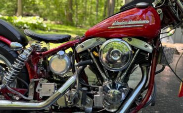 Harley-Davidson-Other-1975-3