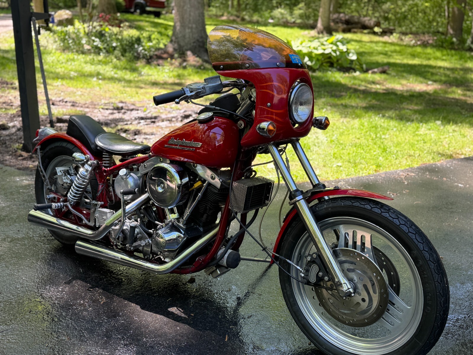 Harley-Davidson-Other-1975-9