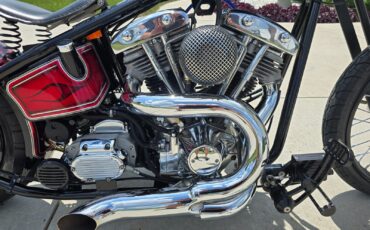 Harley-Davidson-Other-1979-5