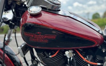 Harley-Davidson-Other-1981-10