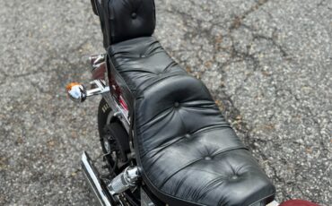 Harley-Davidson-Other-1981-4