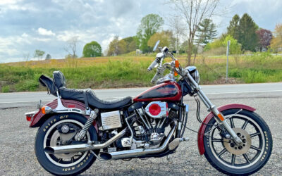 Harley-Davidson Other 1981