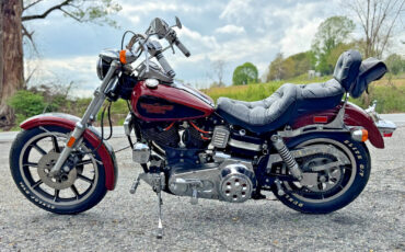 Harley-Davidson-Other-1981-9