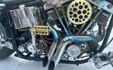 Harley-Davidson-Other-1983-6