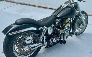Harley-Davidson-Other-1983-7