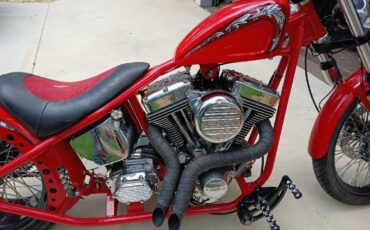 Harley-Davidson-Other-1983-9