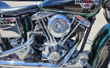 Harley-Davidson-SHOVELHEAD-1977-Cruiser-2