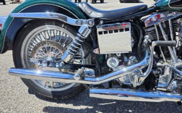 Harley-Davidson-SHOVELHEAD-1977-Cruiser-3